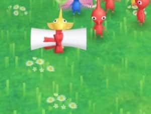 Pikmin Bloom ピクミンブルーム の 巨大すいかについて解説 App Story