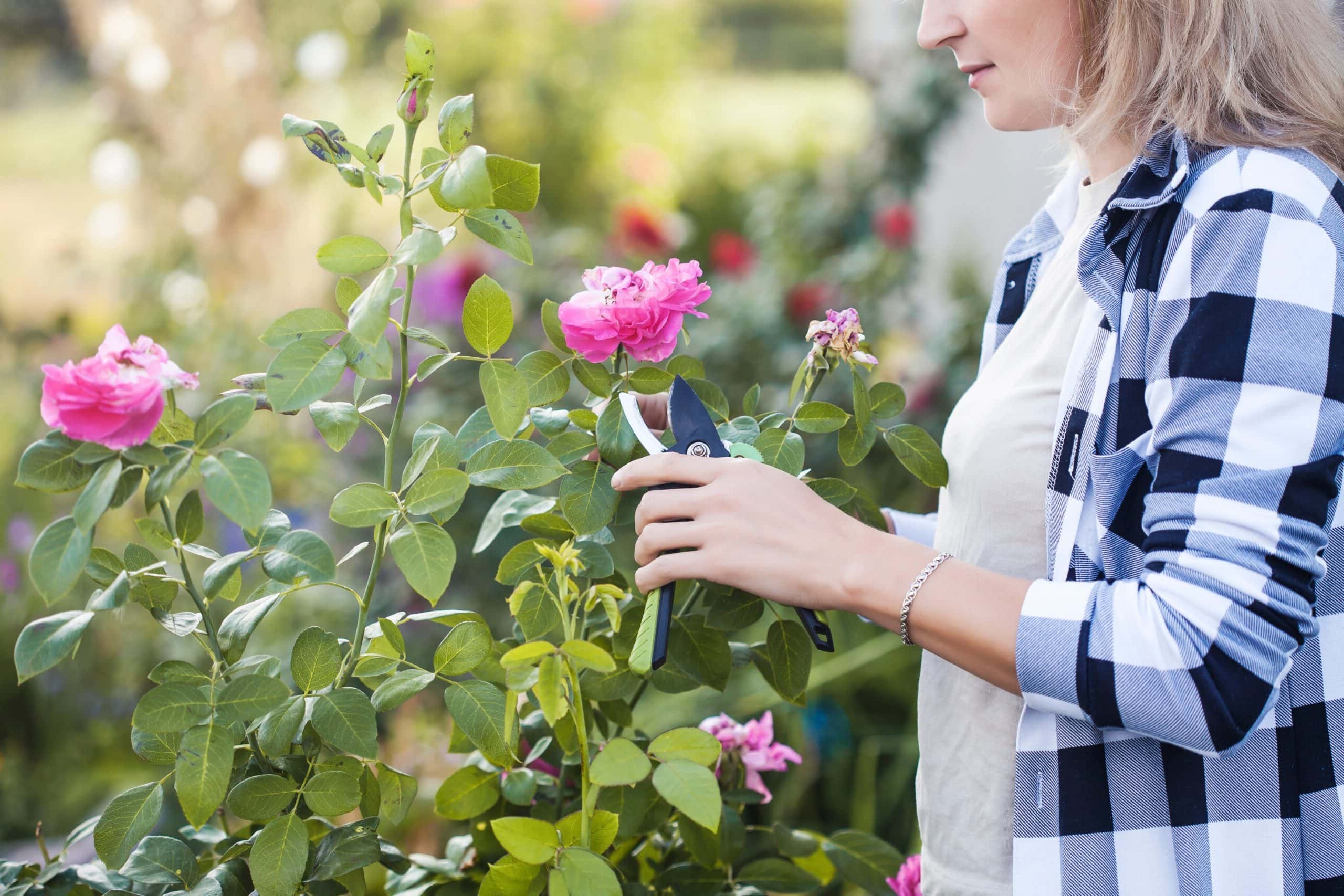 Ambiance apaisante, femme qui jardine