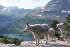 Glacier National Park Packing List Guide