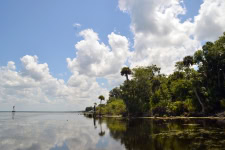 What Items to Pack for Trip to Ocala National Forest?