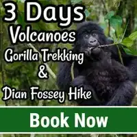 3 Days Rwanda Gorilla Safari