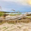 Anchor Driftwood Beach Sign