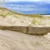 Any State Outline with coordinates on driftwood