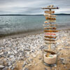 Coastal-Towns-Destination-Tree