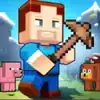 Terra Craft Build Your Dream Block World