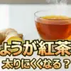 朝食をしょうが紅茶に変えるだけ！実際どうなの会でチャンカワイが証明した驚きのダイエット効果