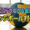 AOI(TJBB)が孤軍奮闘！ドッジボール最強王者から逃げ切れるか？残り3秒の脱落と賞金13万円