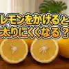 唐揚げにレモンは正解だった！ザ・たっちが3日間爆食して体重差をガチ検証した結果