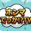 【ホンマでっかTV】花粉症には梅干しが効く！？評論家が教える最新改善法