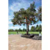 Viastein Folio Fino teraszburkoló lap 4,2 cm, mokka árnyalt