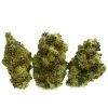 Purple Dragon strain - sativa-dominant hybrid with balanced THC and CBD content.