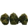 Strawberry Glue – Indica-dominant hybrid offering balanced relaxation, creativity, and euphoria.