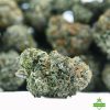 Island Rockstar by King Craft indica-dominant cannabis flower with dense, hand-trimmed buds