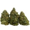 Cannabis Wedding Cake – Indica hybrid with rich flavours and relaxing effects. Enjoy a smooth, flavorful experience.