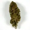 Fleur de CBD North West - 7,6 %