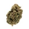 MTL Jungl' Cake 14g Montrose Cannabis