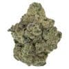 Pistol and Paris Rockstar 7g Montrose Cannabis