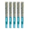 DEBUNK Darts Venom OG Crushed Diamond Infused 5 Pack Montrose Cannabis