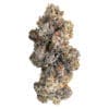 Tractor Fuel 7g BLK MKT Indica Montrose Cannabis