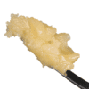 Sauce Rosin Labs Holy Grail Signature Live Rosin 1g jar showing premium wet batter texture and light golden solventless concentrate quality.