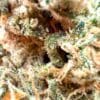 Lamb of God 7g Headstone Sativa Montrose Cannabis