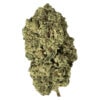 Terp Town Collective Pirate Milk 3.5g Hybrid craft cannabis flower featuring dense, frosty trichomes.
