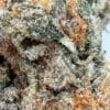 White Ferrari 7g Headstone Indica Montrose Cannabis