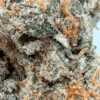 White Ferrari 7g Headstone Indica Montrose Cannabis