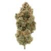BC Organic Tangerine Sunrise 3.5g premium organic sativa cannabis flower by Simply Bare, available for local delivery from Montrose Cannabis.