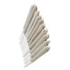 Gastro Pop Pre-Roll 10 Pack | EastCann | Multi-Pack | Montrose