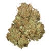 Jean Guy CBD 3.5g balanced sativa dominant cannabis flower by Orchid CBD, available for local delivery from Montrose Cannabis.