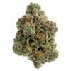 Tiki Madman Breeders Stash 7g | Hybrid Strain | Montrose