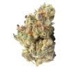 Purple Haze 3.5g flower by LaHoja sativa cannabis strain featuring vibrant purple buds and Haze x Purple Thai genetics.