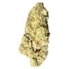 FatCat True Skunk 7g dried flower package displaying dense sativa buds with vibrant orange trichomes.