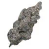 Truffaloha – Cultures Chloris Sativa Hybrid 7g | Montrose Cannabis
