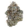 Neon Sunshine 14g Flower – Tribal Hybrid Big Bag | Montrose