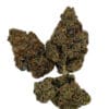 temple-of-fire-sudz-cannabis-strain