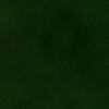 Oliva Green