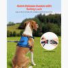 dog harness with secure buckle system for safe outdoor use