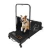 pet treadmill suitable for medium and large dogs like labrador and husky