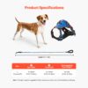 dog harness for walking training and outdoor activities