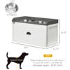 stable dog feeding station with sturdy frame for active dogs