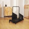 pet treadmill for rehabilitation and joint health support