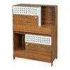 Modern 2-in-1 Cat Furniture Cabinet