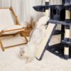 cat activity center for indoor cats to climb and stay active