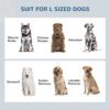 dog feeding station for medium and large dogs indoor use