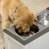 modern pet feeding station furniture for clean and organized home