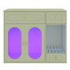Hidden Litter Box Enclosure | LED Furniture Cabinet with Storage Drawers & Acrylic Doors