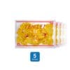 Ten Lei Yen Red Label 5 Box Medium Broken Golden Edible Bird's Nest