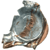 price guide bonded coins vdb